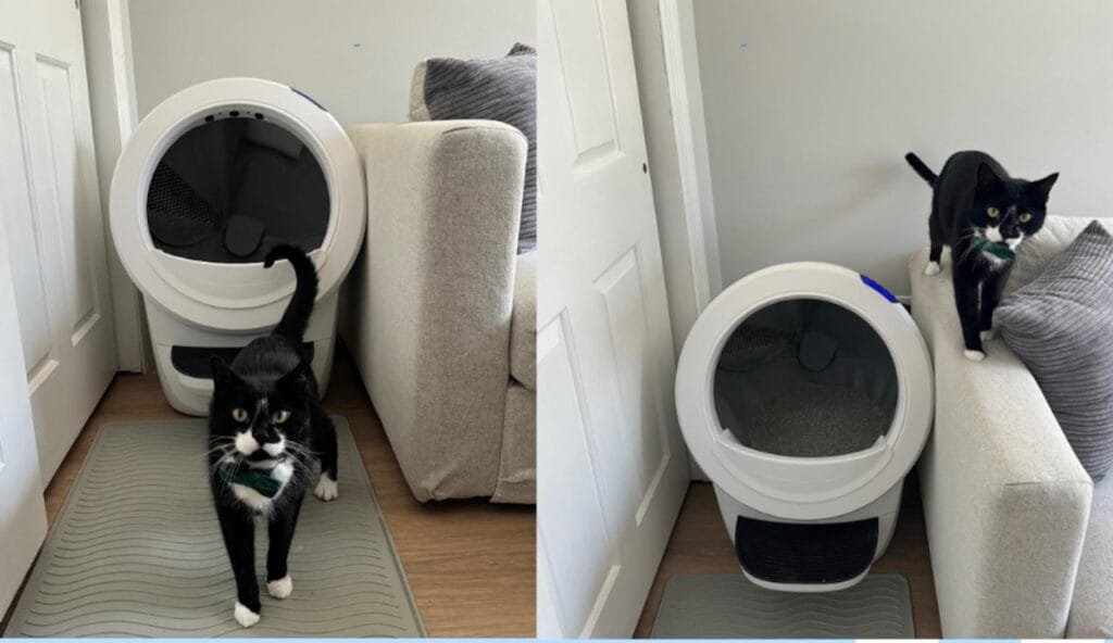 how to clean litter robot 4 how to clean litter robot 4