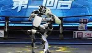 Can I invest in Unitree Robotics?Can Can I put money into United Robotics.